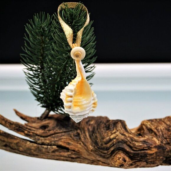 Vintage Conch Seashell Christmas Ornament Ocean Nature Nautical - Picture 3 of 8